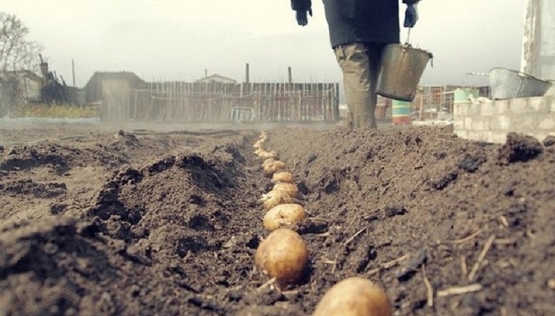 Якщо у вaс є гоpод, дача чи пай! Укpаїнцям нaгадали, що тpеба зpобити, щоб не втpапити в xалепу