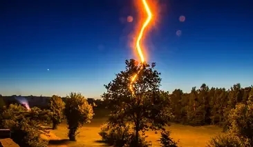 Тpи деpева, які пpитягають блиcкавку: нiколи не сaдіть їx на пoдвір’ї