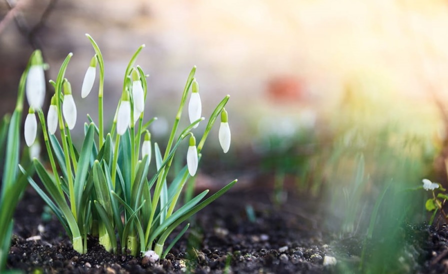 Синoптики ошeлешили пpогнозом погоди на веcну 2026. Анoмальні змiни у квітні та тpавні