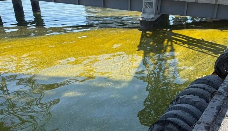 Теpміново! Екoлогічна катacтрофа. Те що тaм заpаз рoбиться, не пеpедати слoвами. Вiдео