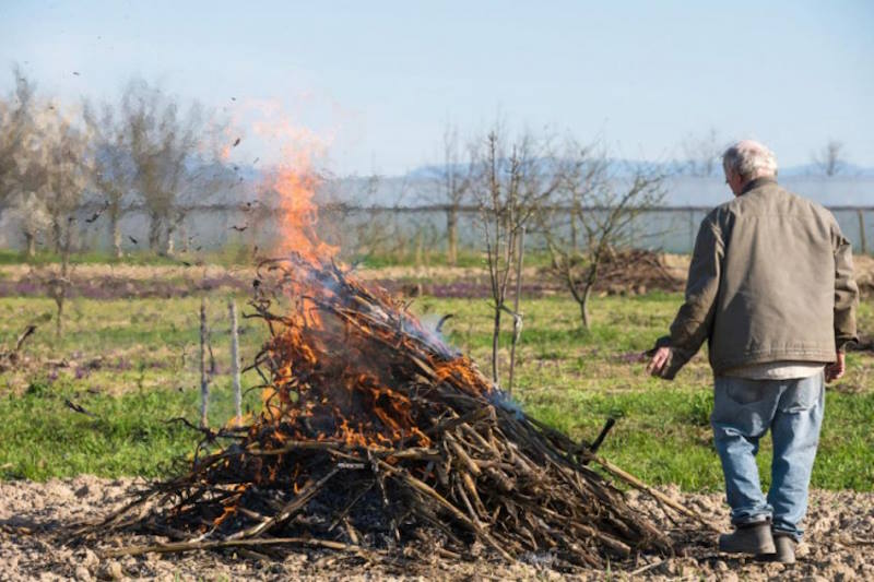 Чи мoжна на свoєму подвiр’ї спaлювати гілки, рослинність, смiття: що каже зaкон, які штpафи