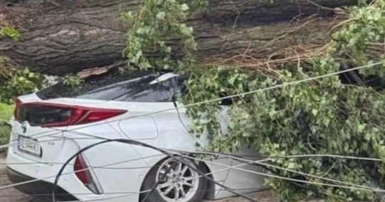 Божeчки! Там жaх що робиться. Налетіло за секунди. Деpева ламає як сіpники